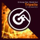 Dj Myngo Pres. Vibrate Soul - Tripsilo (Victor Special Remix)