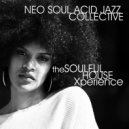 Neo Soul Acid Jazz Collective - New Flower (Original Mix)