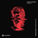 Danny Fontana - Diversity (David Sellers remix)