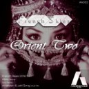 French Skies - Orient Two (Arrakeen & Jaki Song Club Mix)