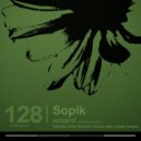 Sopik - Wizard (Rivet Spinners Remix)