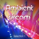 Didascalis - Fireworks (Original Mix)