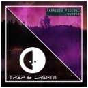 Fabrizio Piccone - Echoes