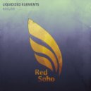 Liquidized Elements - Kasumi (Radio Edit)