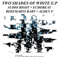 Audio Bigot - Two Shades Of White