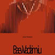 Baev Vadzim - iu