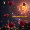 nebo - yet flowers sprout