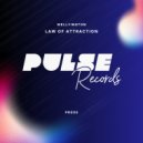 Wellyington - Law of Attraction (Original Mix)