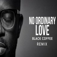 Sade - No Ordinary Love