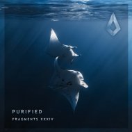 Aplexo - Where The Light Lies