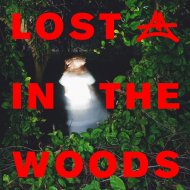 Adriatique, Elderbrook - Lost In The Woods